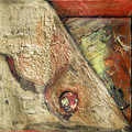 Album 'Colours of Mexico' cover image