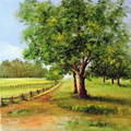 Album 'Trees & Recede' cover image