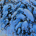 Album 'naturescapes' cover image