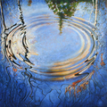 Album 'waterscapes' cover image