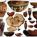 Album 'Randy McLeod' cover image